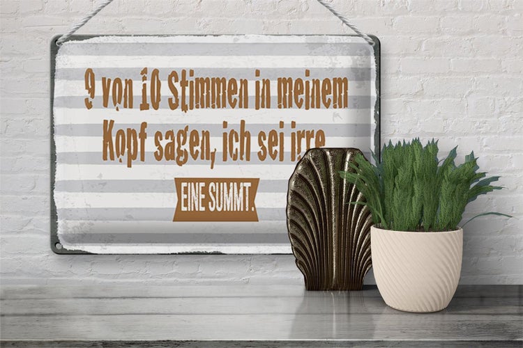 Blechschild Spruch 30x20cm 9 von 10 Stimmen in meinem Kopf