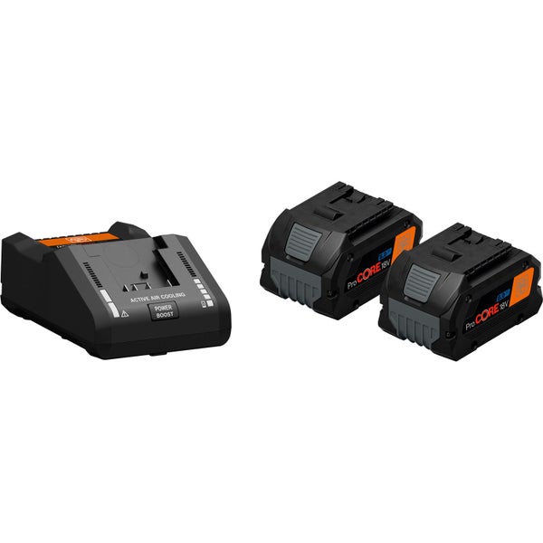 Ladegerät mit zwei Akkus