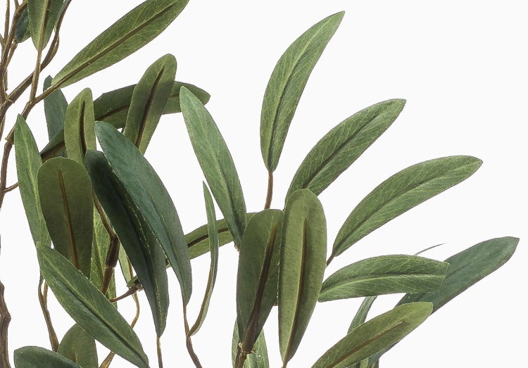 Detailansicht grüner Blätter eines künstlichen Olivenbaums.