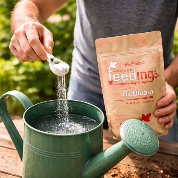 Eine Person fügt BioBloom-Dünger zu einer Gießkanne hinzu