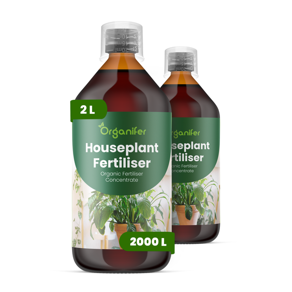 Organifer Bio-Zimmerpflanzendünger Konzentrat, 2 Liter Flasche, ausreichend für 2000 Liter Gießwasser.