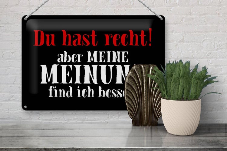 Blechschild Spruch 30x20cm du hast recht aber meine Meinung