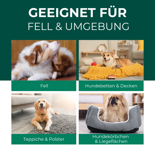 Silberkraft Milbenspray Hund 500 ml, Effektiver Schutz gegen Milben, Milbenschutz für Hunde, Anti-Milben-Mittel für Fell & Schlafplätze