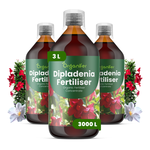 Drei Flaschen Organifer Dipladenia Dünger, organisches Flüssigdüngerkonzentrat, insgesamt 3 Liter für bis zu 3000 Liter Gießwasser.