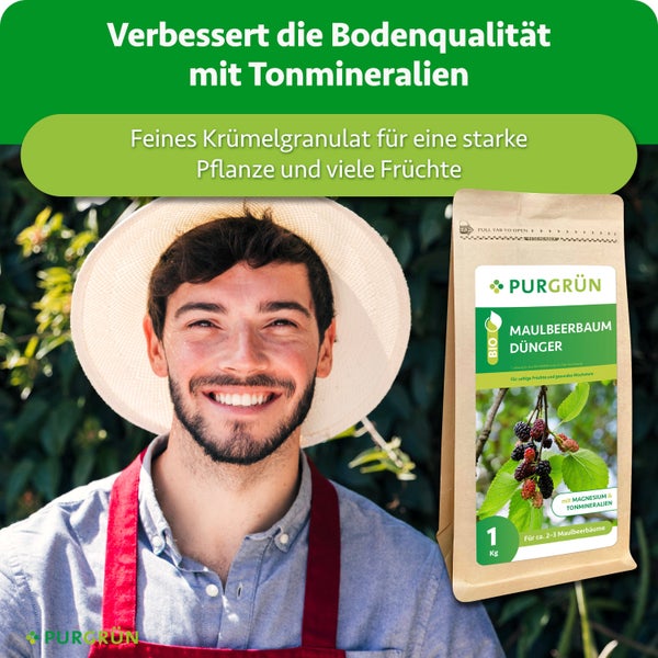 Ein lächelnder Gärtner neben einer Packung Purgrün Maulbeerbaum Dünger mit Tonmineralien für kräftiges Wachstum und zahlreiche Früchte.