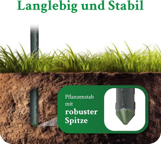 Stabiler Pflanzenstab in der Erde mit Detailansicht der robusten Spitze.