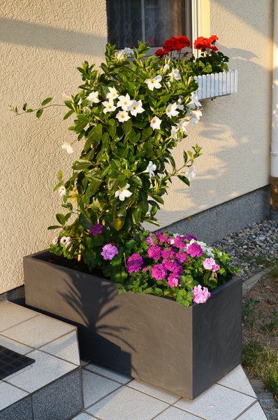 Ondis24 Pflanzkübel Vulkan 100 Blumentopf doppelwandig anthrazit, Blumentopf, Pflanzgefäß
