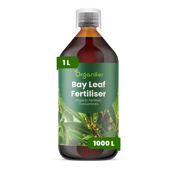 Organifer Bio-Lorbeer-Dünger Konzentrat, 1 Liter Flasche, ergibt 1000 Liter.