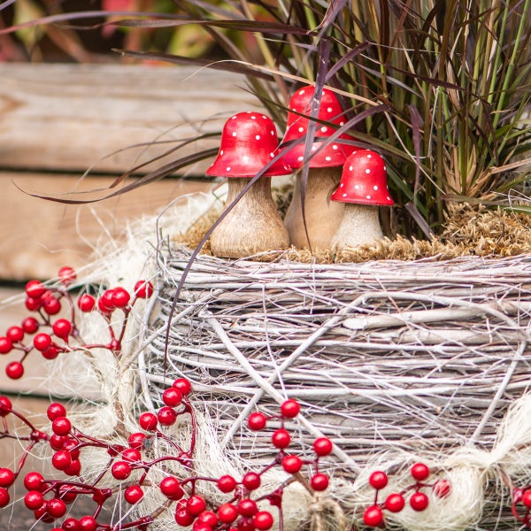 Dekorative Holzpilze in einem Korb mit Pflanzen und Beeren
