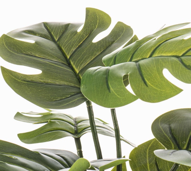 Künstliche Monstera Kunstpflanze Detailaufnahme der charakteristischen grünen Blätter