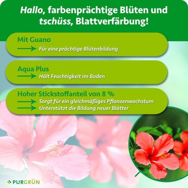 Infografik zum Purgruen Pflanzendünger mit Guano, Aqua Plus und 8 Prozent Stickstoff für prächtige Blüten und gesundes Blattwachstum.