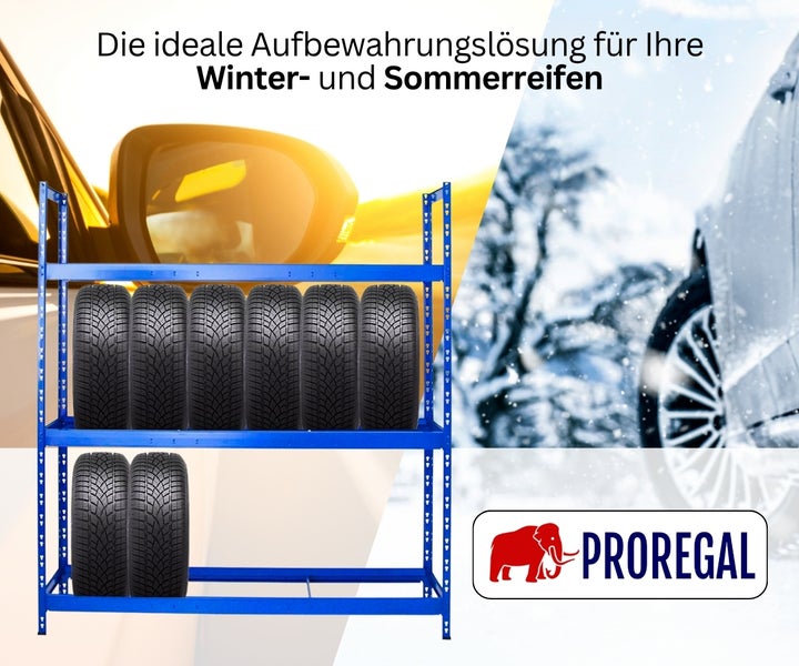 Blaues Metall-Reifenregal mit zwei Ebenen für Winterreifen und Sommerreifen vor einem sonnigen und winterlichen Hintergrund, PROREGAL Logo.