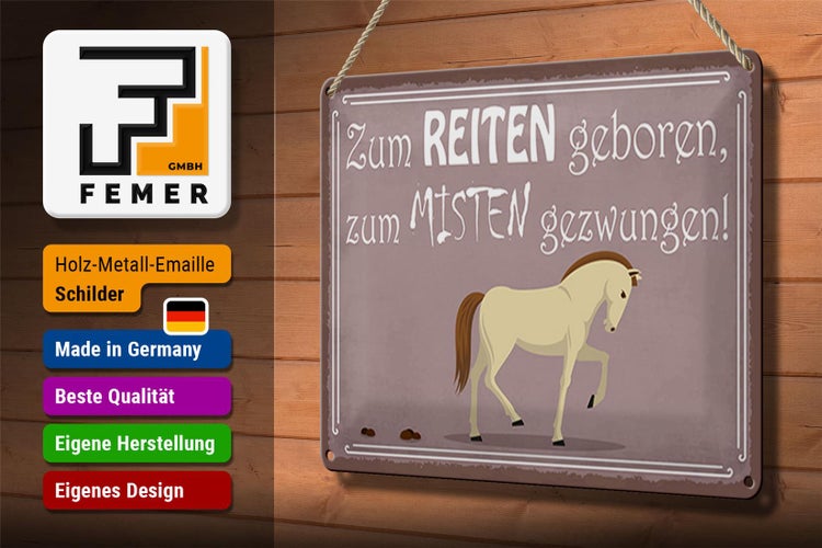 Blechschild Spruch 30x20cm zum Reiten geboren Pferd
