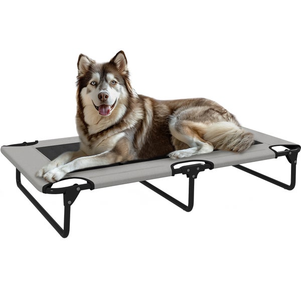Hund liegt auf Hundebett mit Rahmen