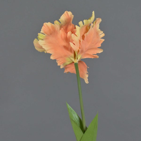 Künstliche Pflanzenwand mit Farnen und Moos zur Wandgestaltung.