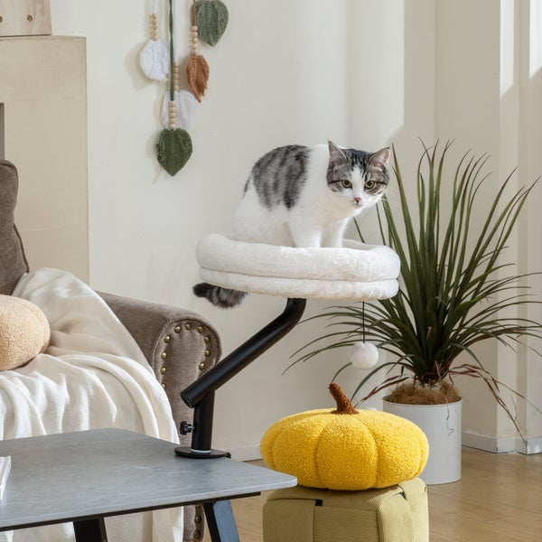 Katze auf einem Kratzbaum in einem Wohnzimmer