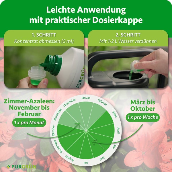 Anleitung zur Anwendung von Pflanzendünger mit Dosierkappe und jahreszeitlichem Düngeplan für Azaleen.