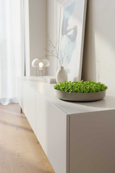 Flache, runde Pflanzschale mit grünen Trieben auf einem weißen Sideboard in einem hellen Wohnraum mit Deko-Vase und Lampe.