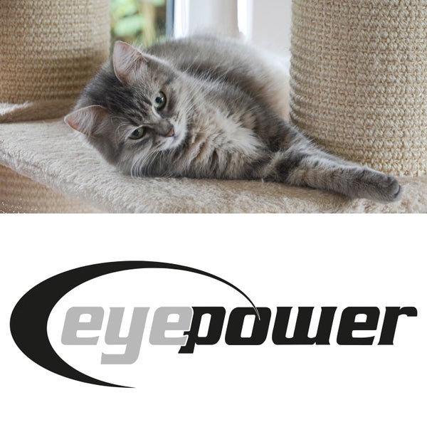 Katze liegt auf der Plüschplattform eines Kratzbaums mit Sisalstämmen sowie Eyepower Logo.