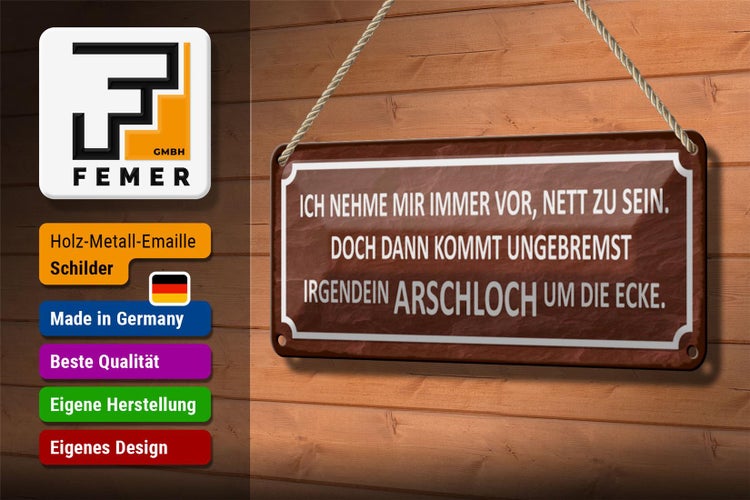 Blechschild Spruch 27x10cm ich immer nett doch Arschloch Dekoration