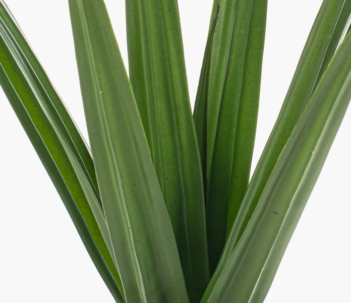 Nahaufnahme von langen, schmalen grünen Blättern einer Kunstpflanze.