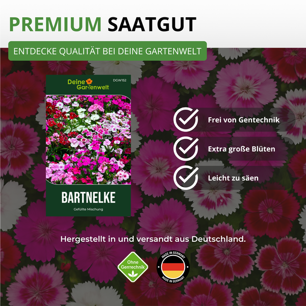 Bartnelke Saatgutpackung mit dem Hinweis gentechnikfrei, große Blüten und leicht zu säen.