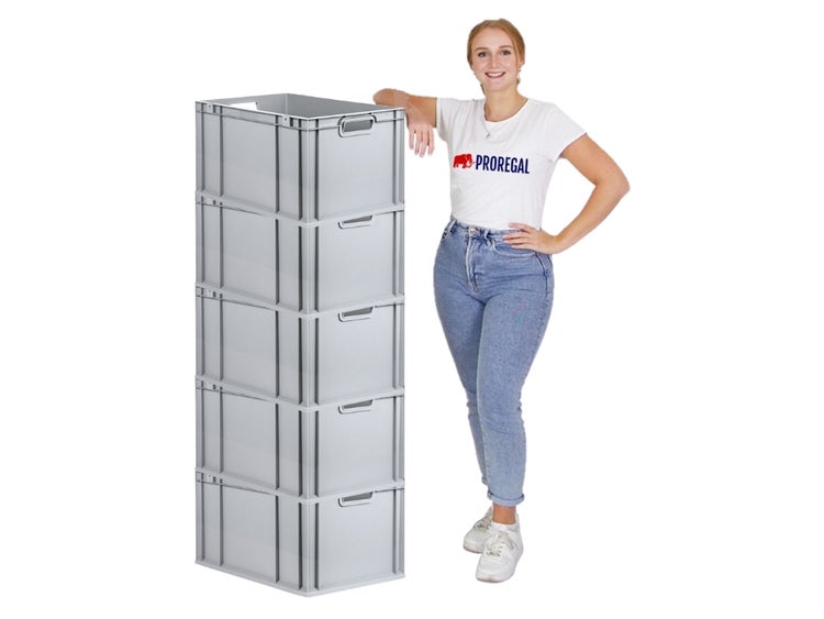 PROREGAL Spar Set 5x Eurobox Nextgen Economy Griffe Offen HxBxT 32 x 40 x 60 cm 65 Liter Eurobehälter Transportbox Transportbehälter
