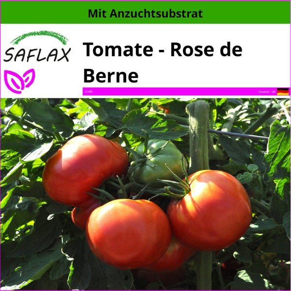 SAFLAX  - Tomate - Rose de Berne - Lycopersicon esculentum - 10 Samen - Mit keimfreiem Anzuchtsubstrat