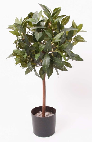 Künstliche Palme mit fächerförmigen Blättern im schwarzen Topf.
