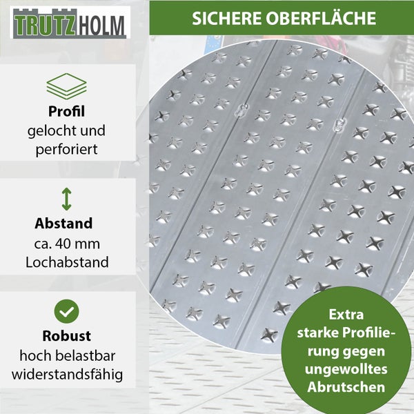TRUTZHOLM 1 x Alu Auffahrrampe 200 x 56 cm Traglast 540 kg grau starr perforiert Verladerampe