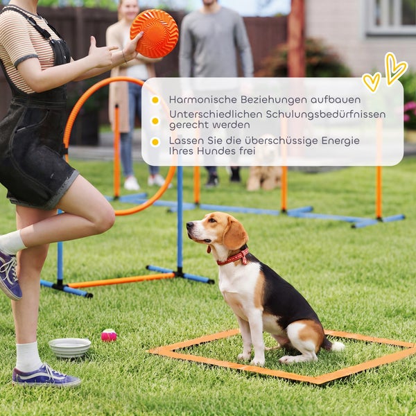 Ein Beagle sitzt auf einer Wiese in einem quadratischen Markierungsrahmen während eines Hundetrainings im Garten mit Agility-Zubehör.