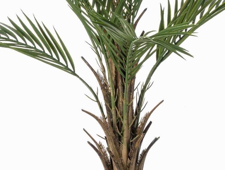 Künstliche Palme im schwarzen Kunststofftopf mit naturgetreuem Stamm und ausladenden grünen Wedeln.