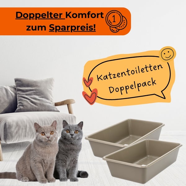 Zwei Katzentoiletten im Doppelpack neben zwei Katzen