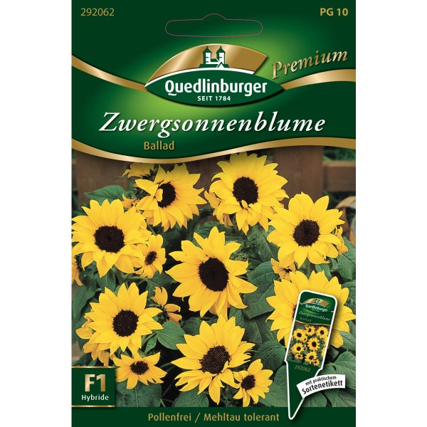 Zwerg-Sonnenblumen Ballad Samen von Quedlinburger SAATGUT
