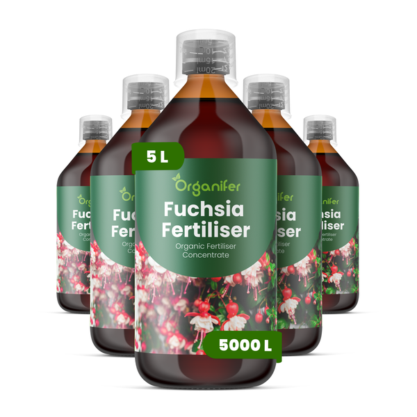 Fünf Flaschen Organifer Bio-Fuchsien-Dünger Konzentrat, 5 Liter für circa 5000 Liter Gießwasser.