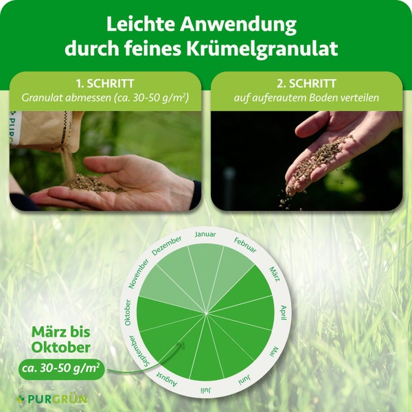 Anwendung Purgrün Rasendünger. 1. Granulat abmessen, circa 30 bis 50 Gramm pro Quadratmeter. 2. Auf Boden verteilen. März bis Oktober. Purgrün Logo.