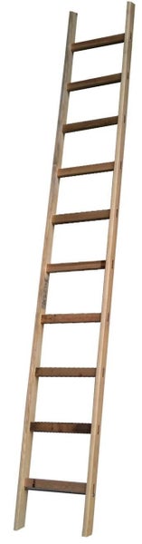 PROREGAL Schnittholzanlegeleiter Made in Germany 21 Sprossen 6,08 m Länge Ohne Traverse Braun Holzleiter Sprossenleiter