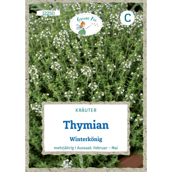 Thymian Winterkönig Samen von Grüne Fee