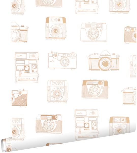 Tapete mit verschiedenen Kameramodellen