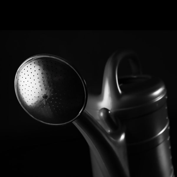 Gießkanne mit Brause