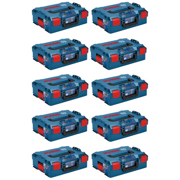 Brombeerstrauch im Garten mit reifen und unreifen Früchten