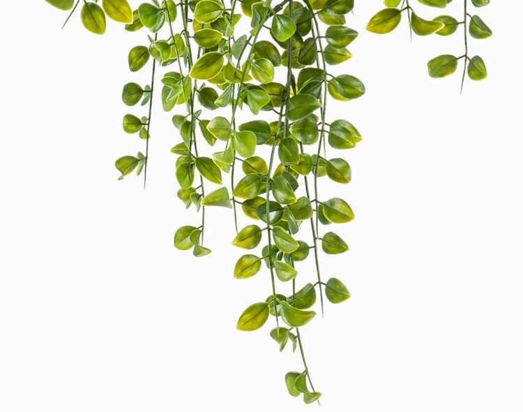 Künstliche Hängepflanze mit kleinen ovalen grünen Blättern an herabhängenden Zweigen.