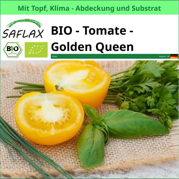 Bio Tomate Golden Queen mit Kräutern