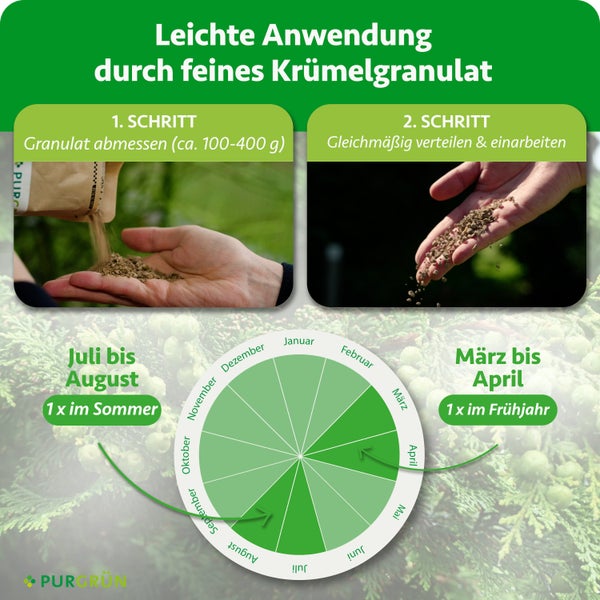 Schritt 1 circa 100 bis 400 Gramm feines Granulat abmessen, Schritt 2 verteilen. Kalender März bis April und Juli bis August. Purgrün Logo.