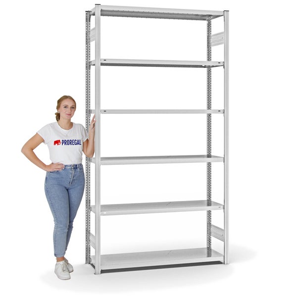 PROREGAL Fachbodenregal Stecksystem T-Profil Light-Duty Grundregal HxBxT 250 x 130 x 40 cm 6 Ebenen Fachlast 180 kg Beidseitig Nutzbar Lichtgrau