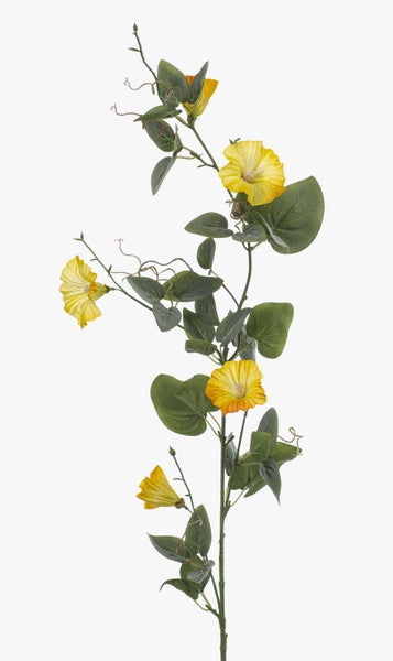 Detailansicht einer künstlichen Strelitzie mit großen grünen Blättern und vertikalen Stielen.