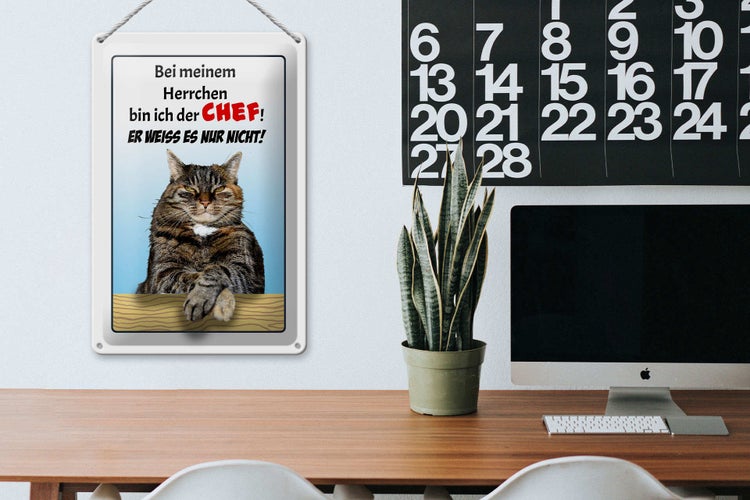 Blechschild Spruch 20x30cm Katze bei meinem Herrchen Chef