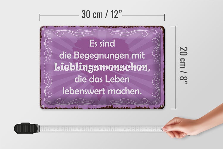 Blechschild Spruch 30x20cm Begegnungen Lieblingsmenschen
