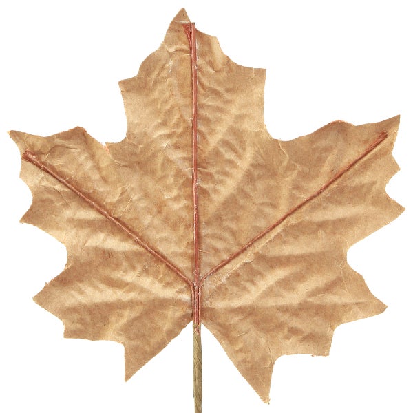 Ahornblatt aus Papier