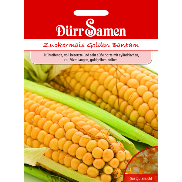 Zuckermais Golden Bantham Saatgut von Dürr Samen